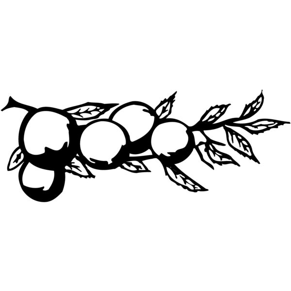 FRUIT028 Miniaturansicht