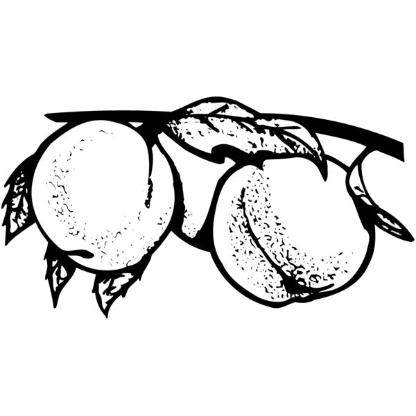 FRUIT031 Miniaturansicht