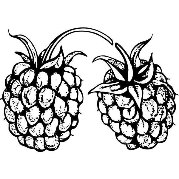 FRUIT032 Miniaturansicht