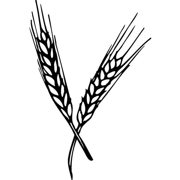 GRAIN004 Miniaturansicht