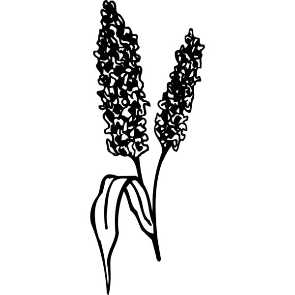 GRAIN011 Miniaturansicht