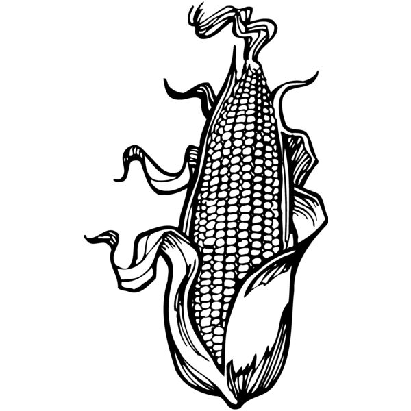 GRAIN012 Miniaturansicht