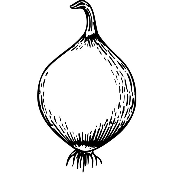 VEG003 Miniaturansicht