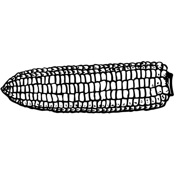 VEG007 Miniaturansicht