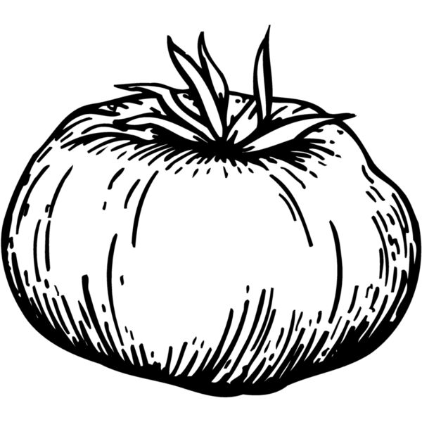 VEG015 Miniaturansicht