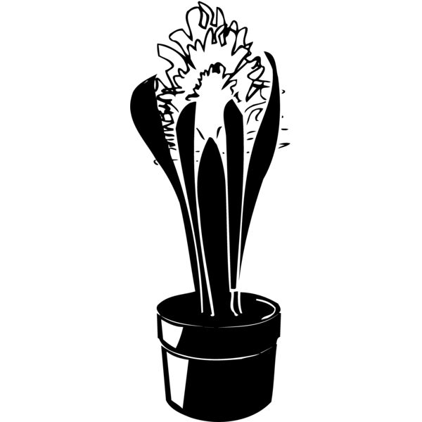 PLANT08 Miniaturansicht