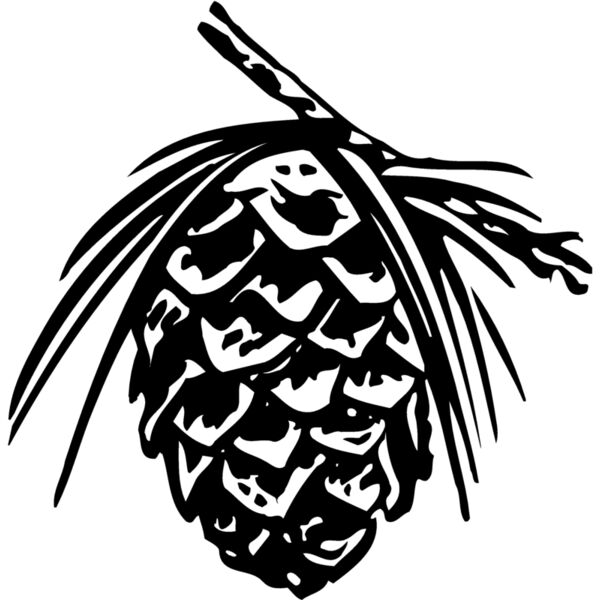 PCONE01 Miniaturansicht