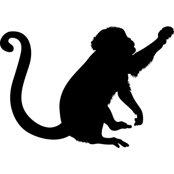 Monkey   Clipart 2 Miniaturansicht