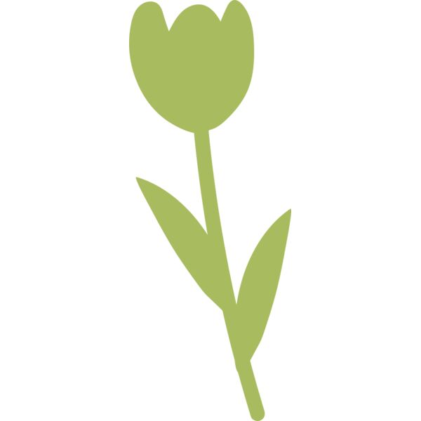 20 Flower Miniaturansicht