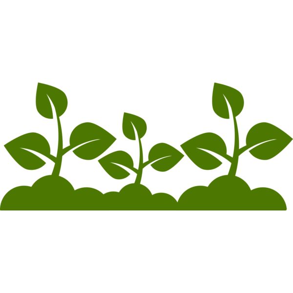 Plant Leaves Miniaturansicht