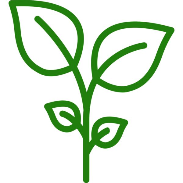 Plant Miniaturansicht