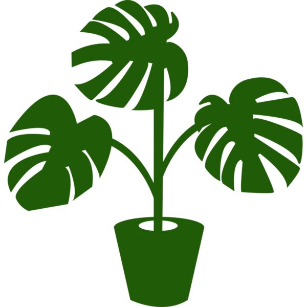 Plant Miniaturansicht