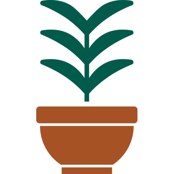 Plant 2 Miniaturansicht