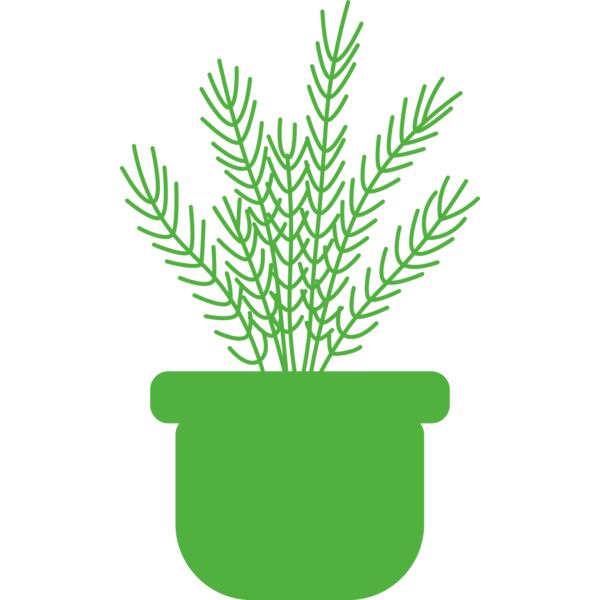 Herb Miniaturansicht