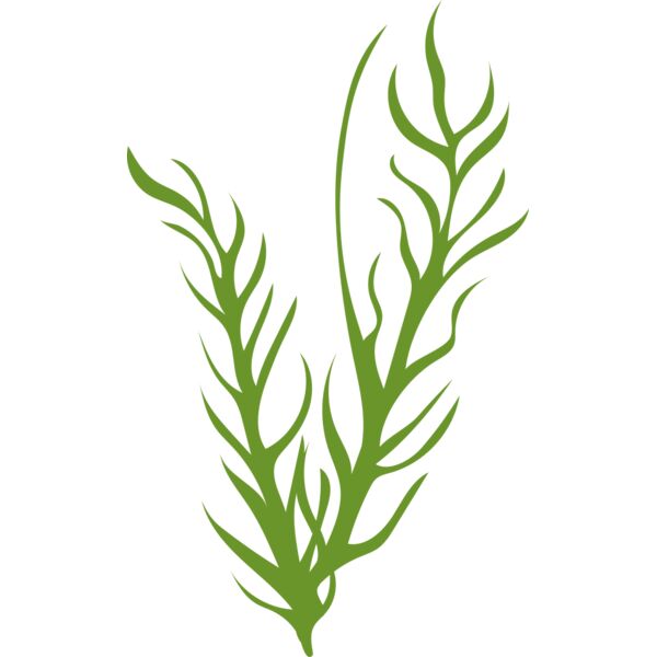 Leaves 8 Miniaturansicht