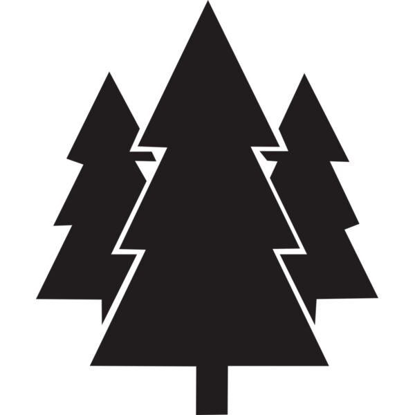 Baum Tanne Miniaturansicht