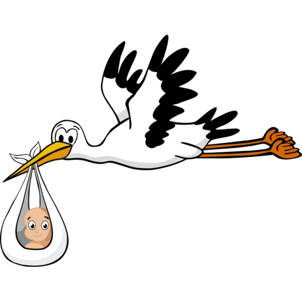 Storch Baby Miniaturansicht